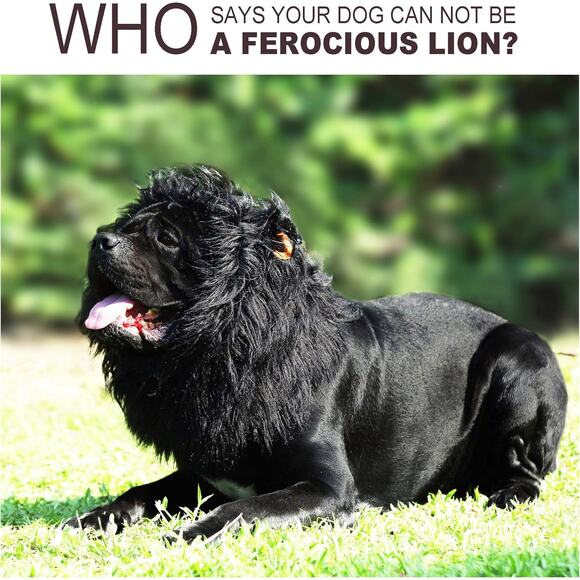 Lion Mane Wig for Large Dogs Black Pet Halloween Costume with Ears Funny Hat - Picture 6 of 8
